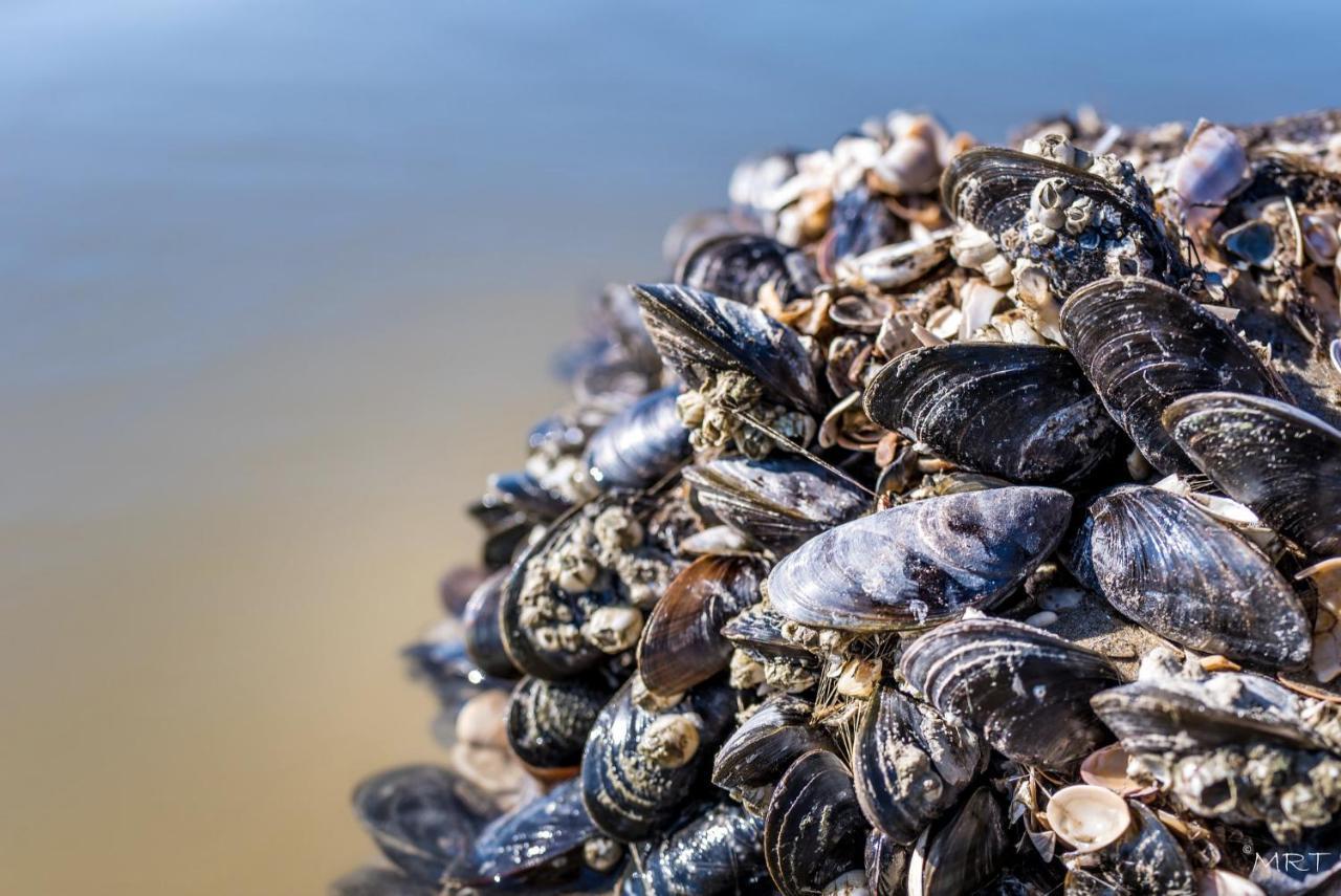 Hotel Steeds Aan Zee Katwijk aan Zee Esterno foto